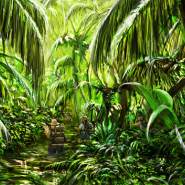 Jungle Concept